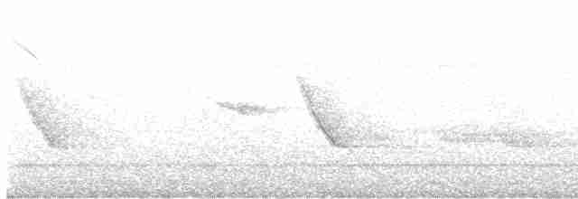 langhaleskredderfugl - ML618367858