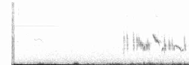 Batılı Kara Kulaklı Kuyrukkakan - ML618368134