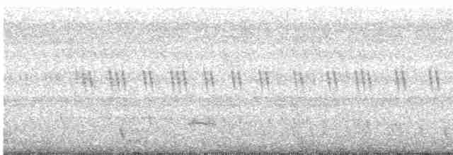 Large-tailed Nightjar - ML618368200