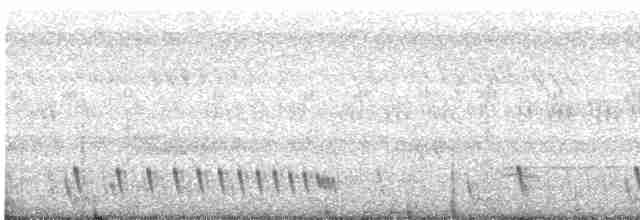 Indian Nightjar - ML618368202