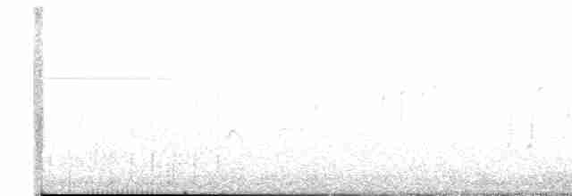 břehouš černoocasý - ML618368231