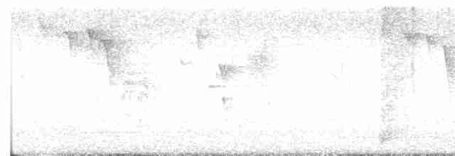 Vireo Ojiblanco - ML618368822