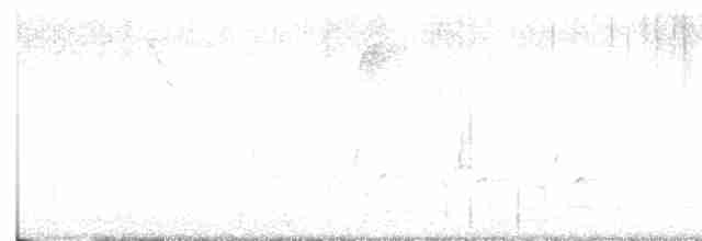 Поплітник каролінський - ML618369269