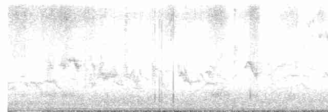 Kara Gagalı Saksağan - ML618369455