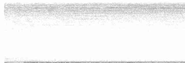 Чернохохлая гренадерка - ML618369514