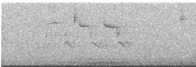 Troglodyte des marais - ML618370177