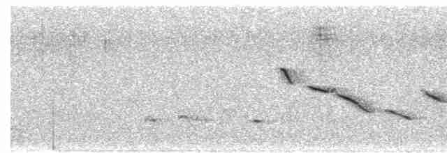 Chihuahuan Meadowlark - ML618370935