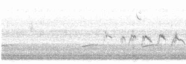 Sperlingsvogel, unbestimmt - ML618371145