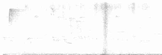 Cerulean Warbler - ML618371256