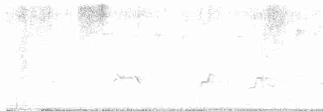 Cerulean Warbler - ML618371257