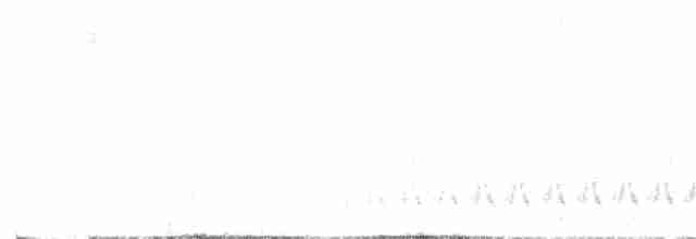 Кактусовый крапивник - ML618371450