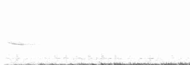 vlhovec červenokřídlý - ML618372008