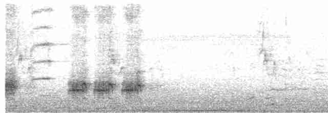 Great Reed Warbler - ML618372446