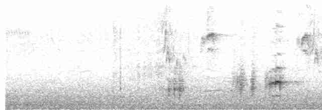 Great Reed Warbler - ML618372448