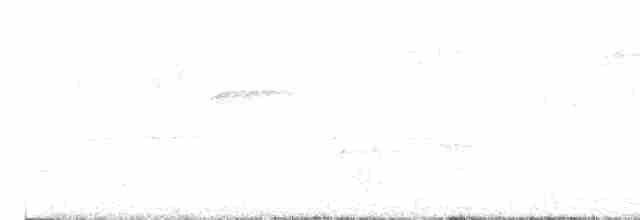 Дрізд-короткодзьоб Cвенсона - ML618372592