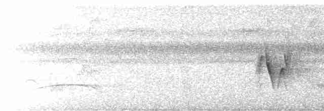 Белокрылая канделита - ML618375137