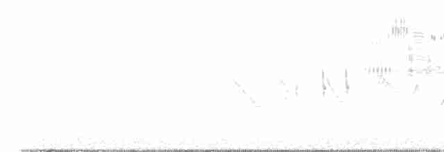 Короткопалый хохлатый жаворонок - ML618376494