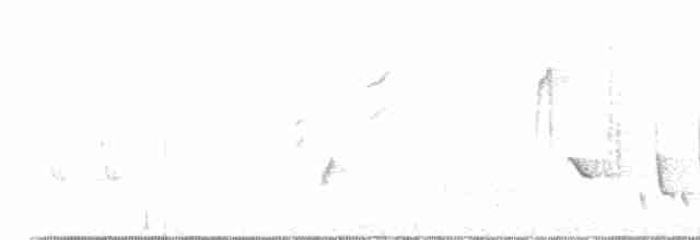 Common Nightingale - ML618376504