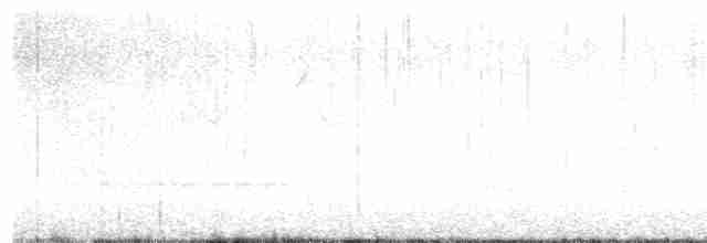 Каролинский поползень (carolinensis) - ML618377572