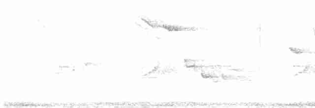 Eurasian Wren - ML618377583