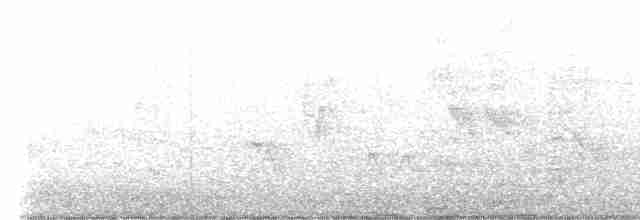 Oriole des vergers - ML618378005