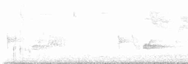 Чернокрылая пиранга - ML618378251