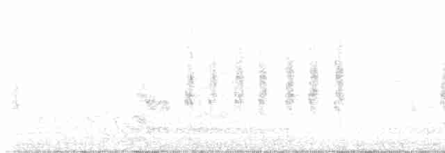 Woodchat Shrike - ML618379202