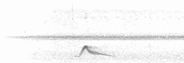 Pauraquenachtschwalbe - ML618379211