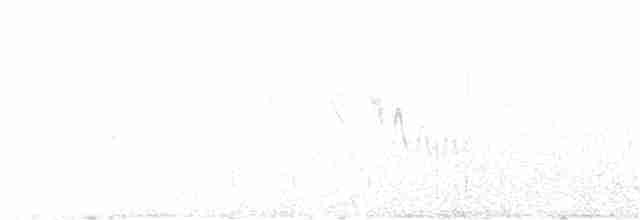 Кактусовый крапивник - ML618379433