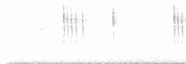 Pasifik Çıtkuşu - ML618380393