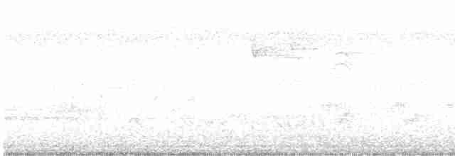 Cerulean Warbler - ML618380748