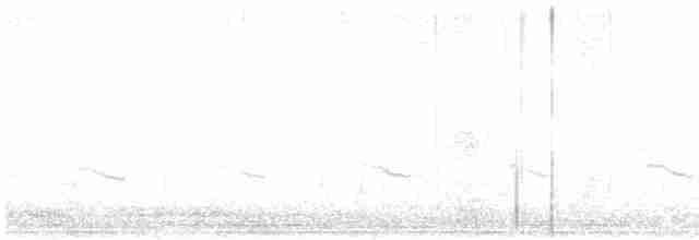 Little Ringed Plover - ML618381220