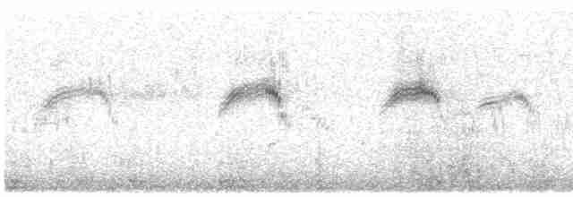 rorýs obecný - ML618381284