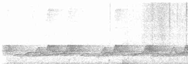 Schwarzkehl-Nachtschwalbe - ML618381336