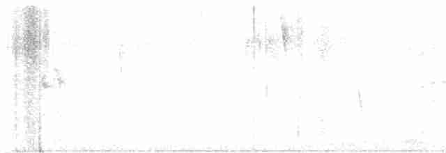 Grauscheitel-Olivtyrann - ML618381391