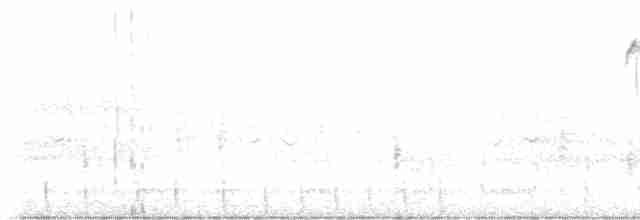 Желтобрюхий дятел-сокоед - ML618381476