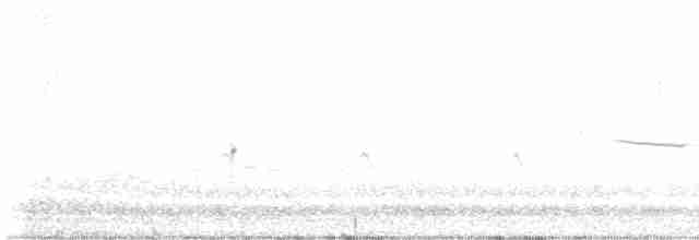 Eastern Meadowlark - ML618381696