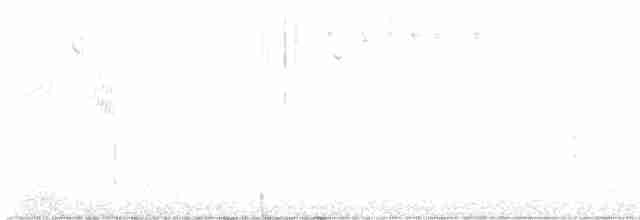 Al Kanatlı Karatavuk - ML618382104