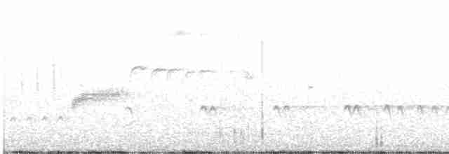 Chaparralgrasmücke - ML618382434
