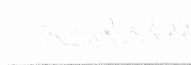 Кузнечиковая овсянка-барсучок - ML618384123