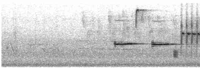 גיבתונית רוננת - ML618384201