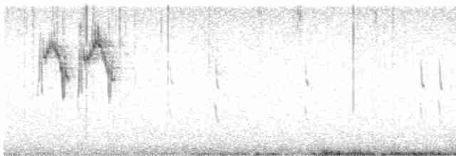 Жёлтая трясогузка (iberiae) - ML618384798