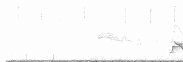 Blauspottdrossel - ML618385307