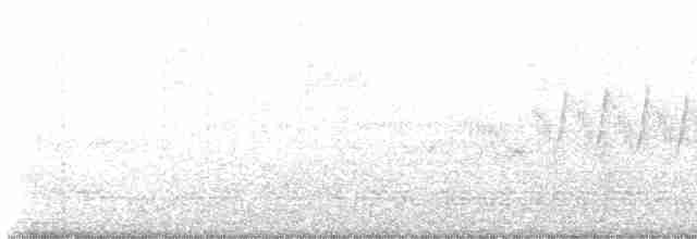 lesňáček modropláštíkový - ML618385530