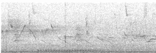 啄木鳥科 - ML618385614