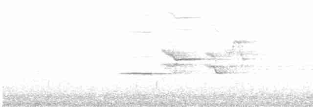 Дрізд-короткодзьоб плямистоволий - ML618386047