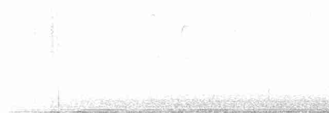 Worm-eating Warbler - ML618388725