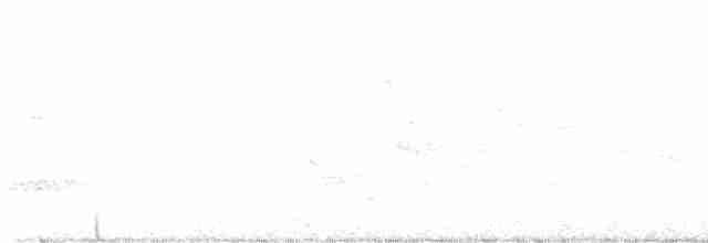 Cerulean Warbler - ML618389405