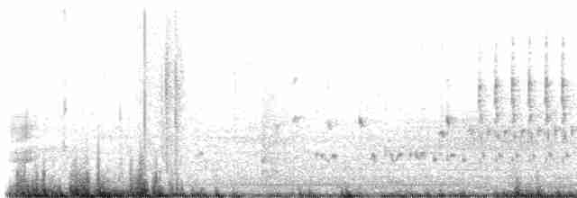 Troglodyte des marais - ML618389791