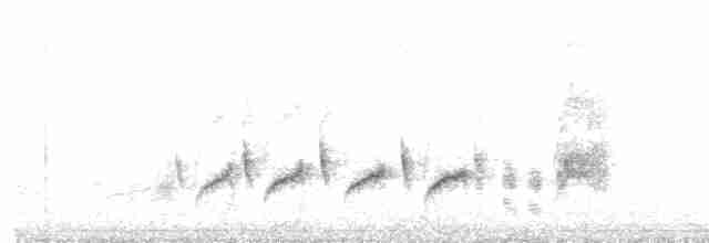 Orpheusgrasmücke - ML618390327